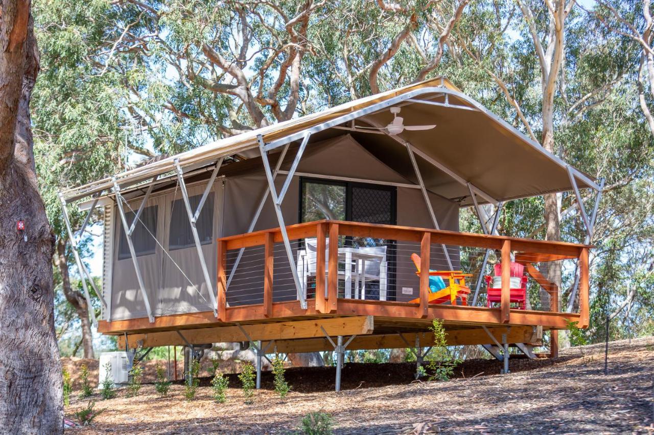 Port Stephens Koala Sanctuary Hotel One Mile Exterior photo