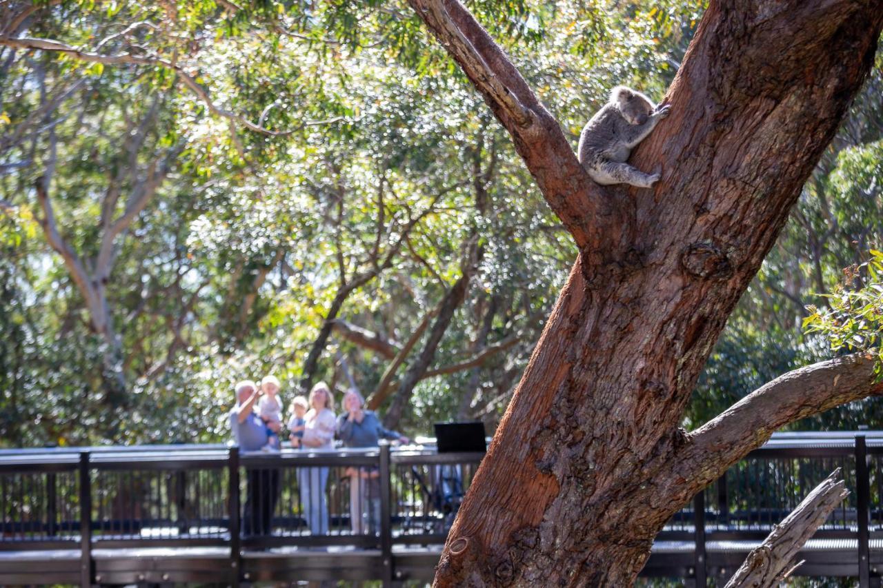 Port Stephens Koala Sanctuary Hotel One Mile Exterior photo